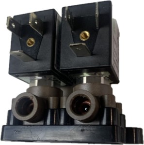 Elektrozawory pary (8810401186GS)